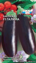 Баклажан Галина (СеДеК)