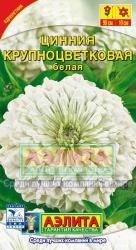 Цинния Крупноцветковая белая (Аэлита)