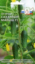Огурец Сахарный малыш F1 (СеДеК)