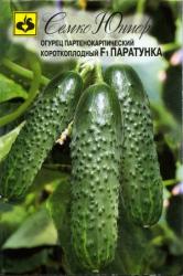 Огурец Паратунка F1 (Семко)