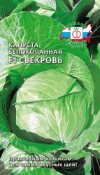 Капуста Свекровь F1 (СеДеК)