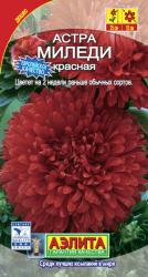 Астра Миледи красная (Аэлита)