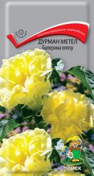 Дурман метел Балерина еллоу (Поиск)