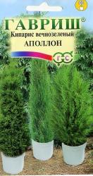 Кипарис вечнозеленый Аполлон (Гавриш)