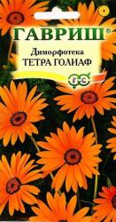Диморфотека Тетра голиаф (Гавриш)