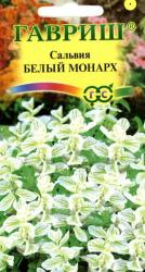 Сальвия Белый монарх (Гавриш)