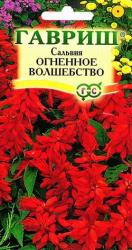 Сальвия Огненное волшебство (Гавриш)