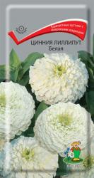 Цинния Лиллипут белая (Поиск)