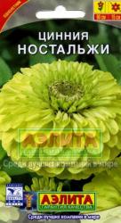 Цинния Ностальжи (Аэлита)