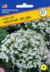 Лобелия Белая леди (Престиж)