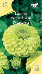 Цинния Русалочка (Седек)