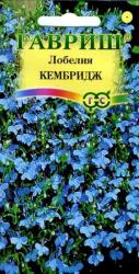 Лобелия Кембридж (Гавриш)